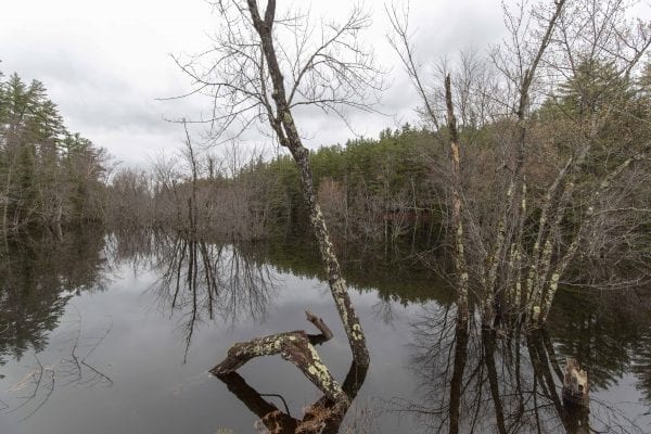 A view of the flooded Stony Creek from the bridge on Coreys Road. Photo by Mike Lynch
