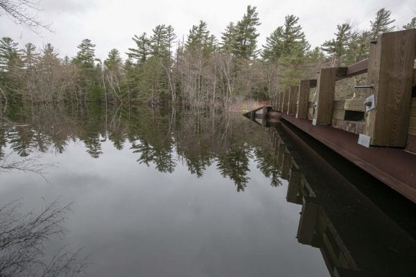 A view of the flooded Stony Creek from the bridge on Coreys Road. Photo by Mike Lynch