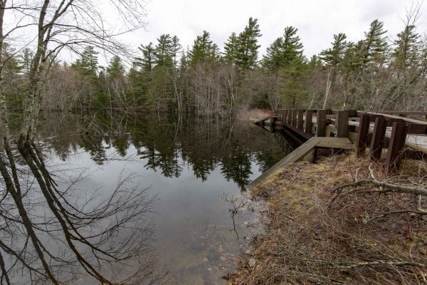 A view of the flooded Stony Creek from the bridge on Coreys Road. Photo by Mike Lynch