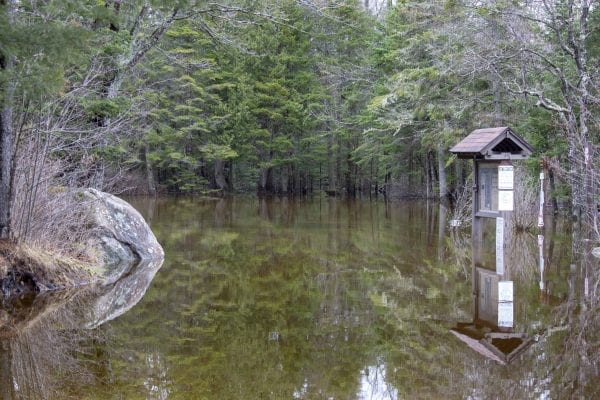 The Crusher boat launch on the Raquette River was under water on April 25. Photo by Mike Lynch