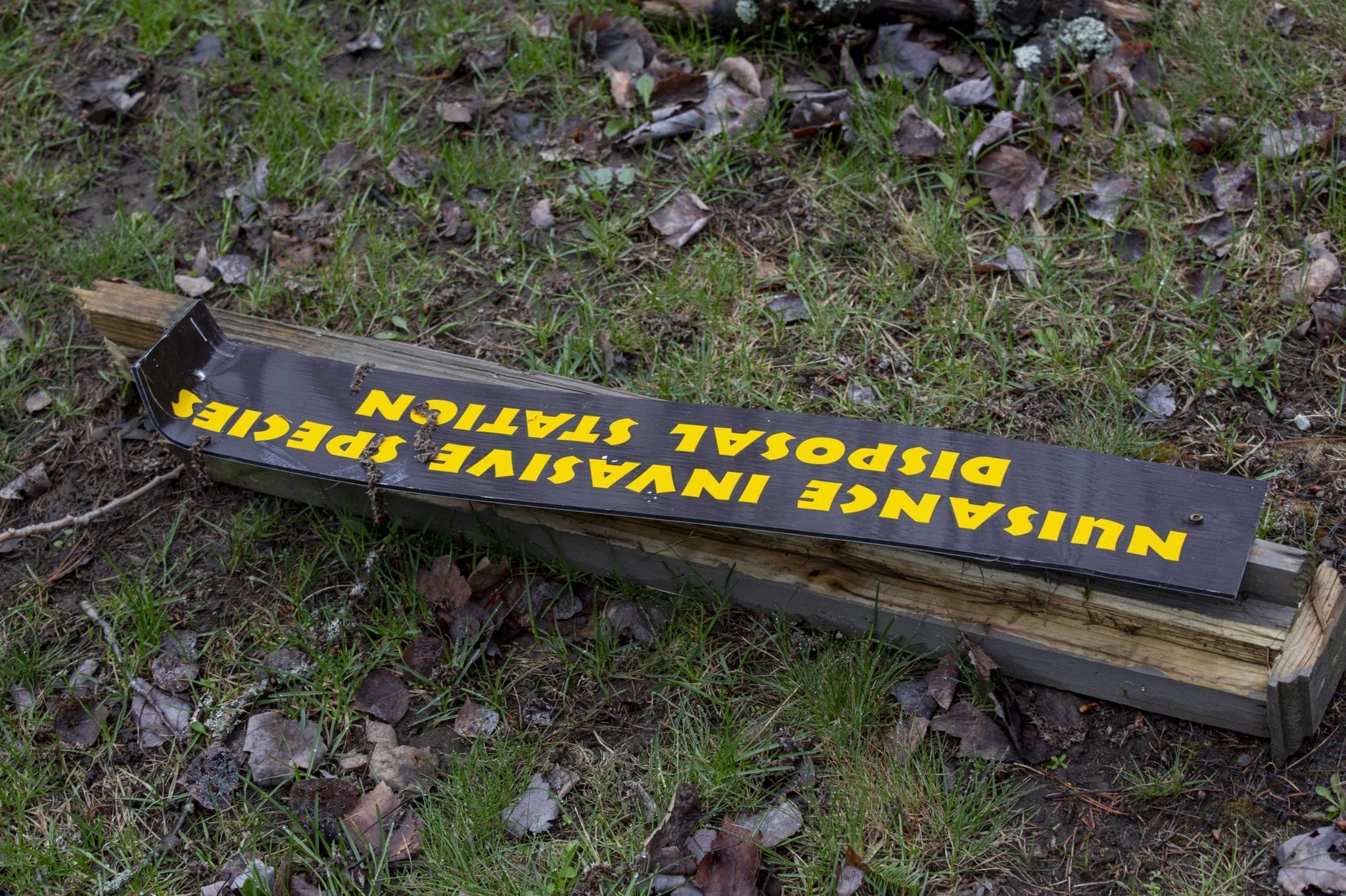 Slider Nav Image