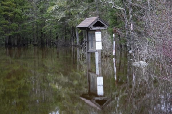 The Crusher boat launch on the Raquette River was under water on April 25. Photo by Mike Lynch