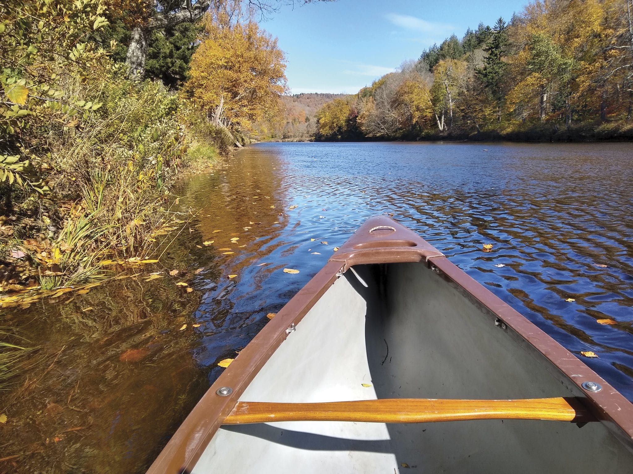 Invitation accepted: Paddling the Cedar River