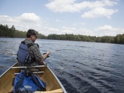 trout fishing