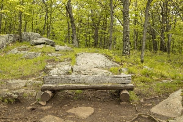 Scenes from a hike up Cook Mountain in Ticonderoga on June 1. Photo by Mike Lynch