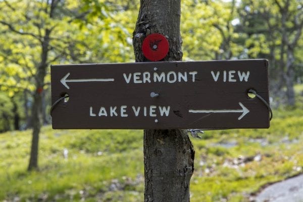 Scenes from a hike up Cook Mountain in Ticonderoga on June 1. Photo by Mike Lynch