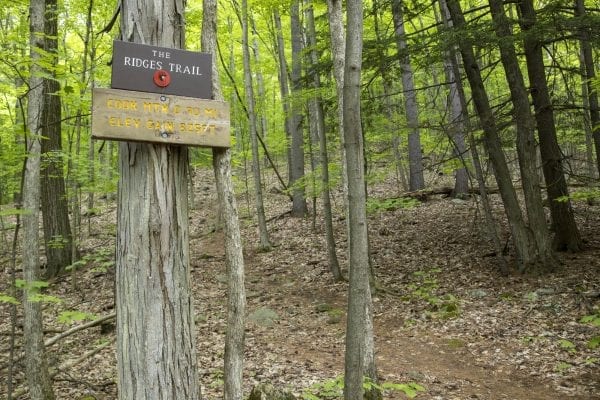 Scenes from a hike up Cook Mountain in Ticonderoga on June 1. Photo by Mike Lynch