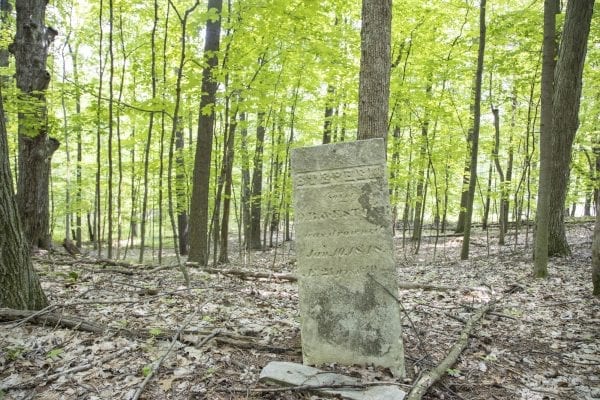 Scenes from a hike up Cook Mountain in Ticonderoga on June 1. Photo by Mike Lynch