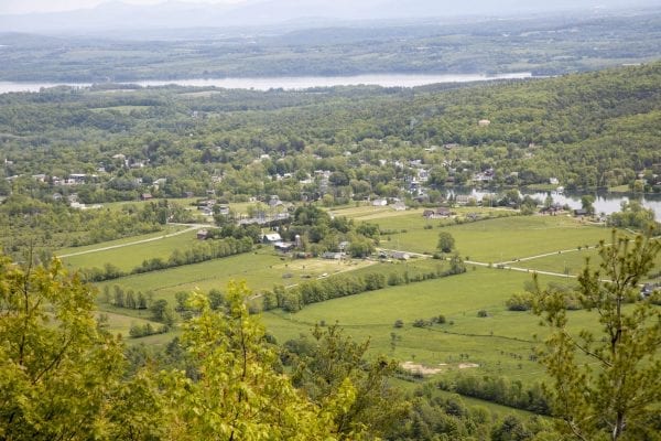 Scenes from a hike up Cook Mountain in Ticonderoga on June 1. Photo by Mike Lynch