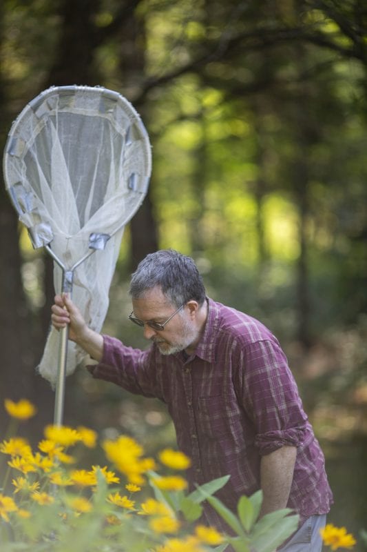 Dan Jenkins looks for monarch butterflies in his garden. Photo by Mike Lynch