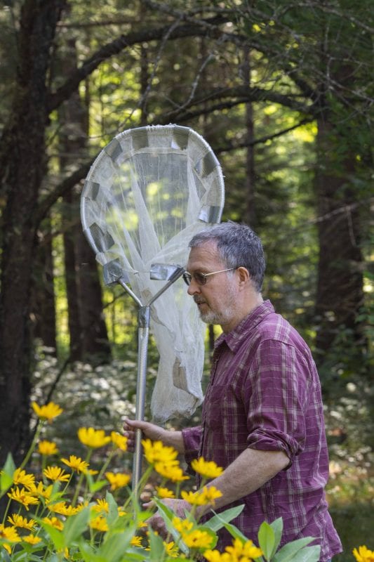 Dan Jenkins looks for monarch butterflies in his garden. Photo by Mike Lynch