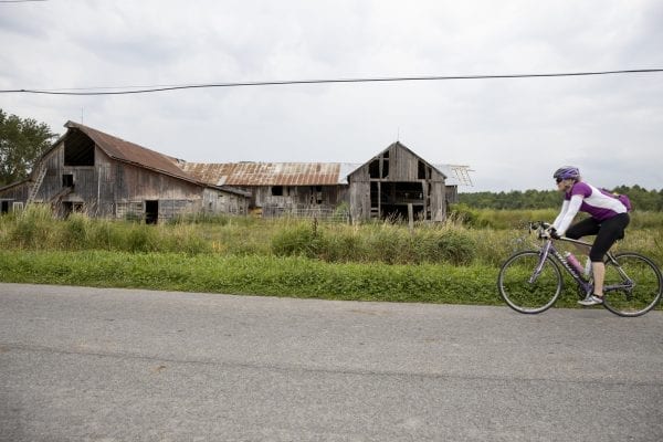 A Cycle Adirondacks participant rides through farmlands in the Champlain Valley. Photo by Mike Lynch