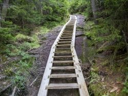 trail work