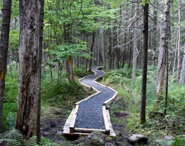 Adirondack Wild questions bike trail work in Wilcox Lake Wild Forest
