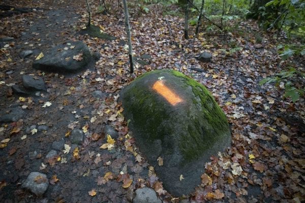 DEC is looking for information related to these orange paint blazes that recently showed up on the Cascade Mountain trail. Photo by Mike Lynch