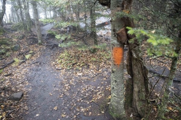 DEC is looking for information related to these orange paint blazes that recently showed up on the Cascade Mountain trail. Photo by Mike Lynch