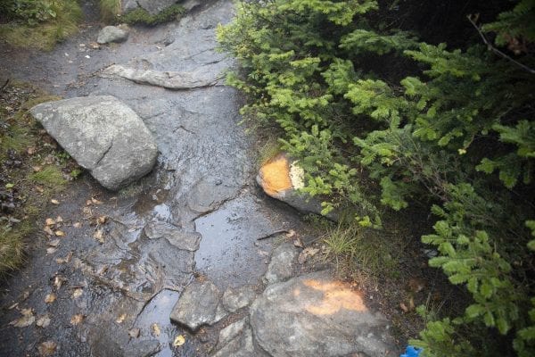 DEC is looking for information related to these orange paint blazes that recently showed up on the Cascade Mountain trail. Photo by Mike Lynch