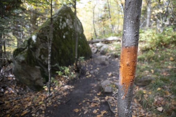 DEC is looking for information related to these orange paint blazes that recently showed up on the Cascade Mountain trail. Photo by Mike Lynch