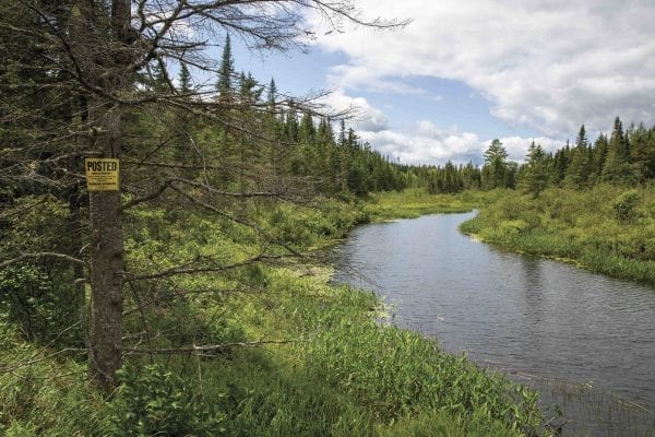 Whitney Park listing raises conservation quest