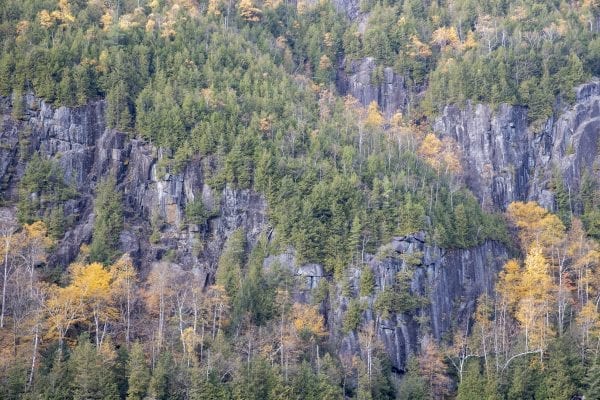 Flashes of yellow from birch trees showed up throughout the Adirondacks this week, including here on the Chapel Pond cliffs. Photo by Mike Lynch
