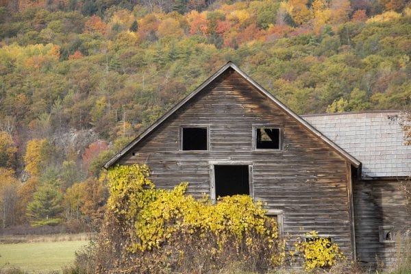 An old barn in Washington County on the eastern side of Lake George. Photo by Mike Lynch
