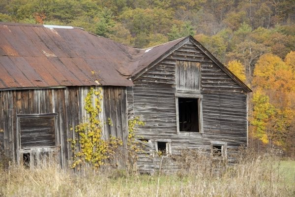 An old barn in Washington County on the eastern side of Lake George. Photo by Mike Lynch