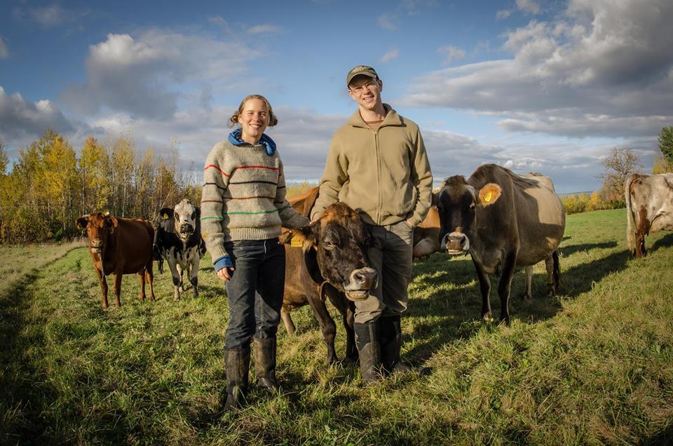 dairy farm