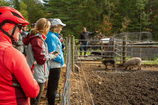 kate mountain farm