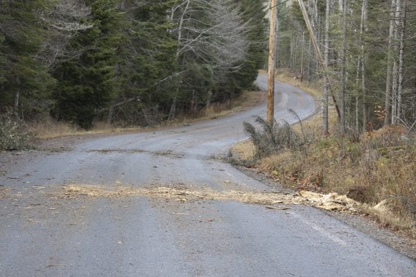 Debris on Adirondack Loj Road on November 1. Photo by Mike Lynch