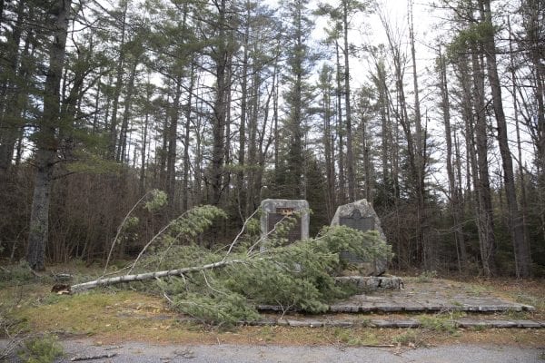 A downed tree near Monument Falls on the West Branch of the Ausable River near Lake Placid. Photo by Mike Lynch