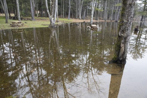 The waters of Great Sacandaga Lake remained high on November 5. Photo by Mike Lynch