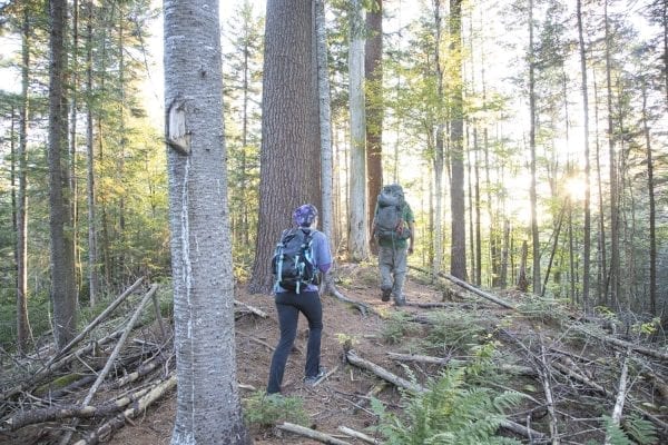 Tracy Ormsbee and Sam Eddy walk through the Five Ponds Wilderness. Photo by Mike Lynch
