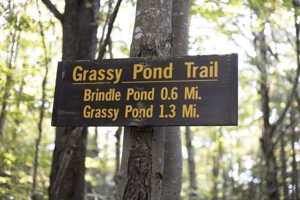 The Grassy Pond Trail sign. Photo by Mike Lynch