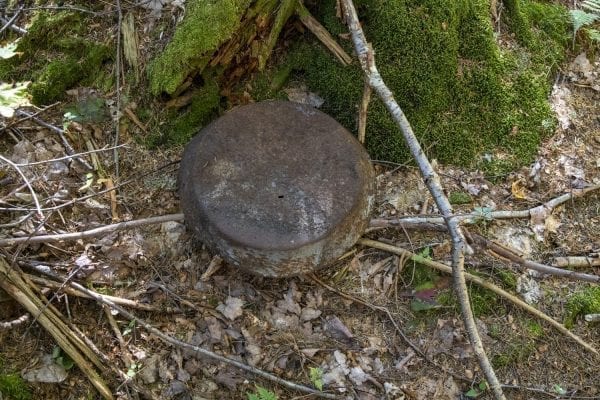 An old pan in the Five Ponds Wilderness. Photo by Mike Lynch