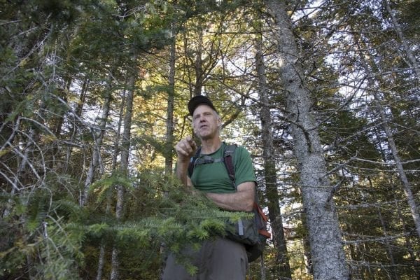 Sam Eddy takes a break during the bushwhack into the Five Ponds Wilderness.