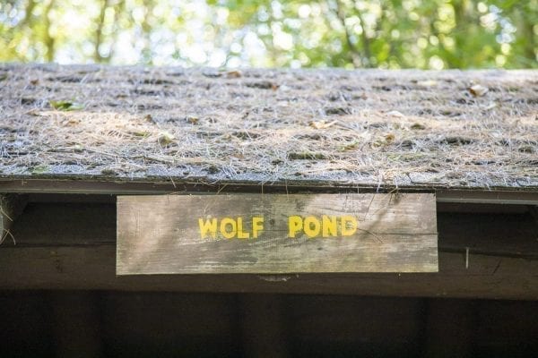 The Wolf Pond lean-to in the Five Ponds Wilderness. Photo by Mike Lynch