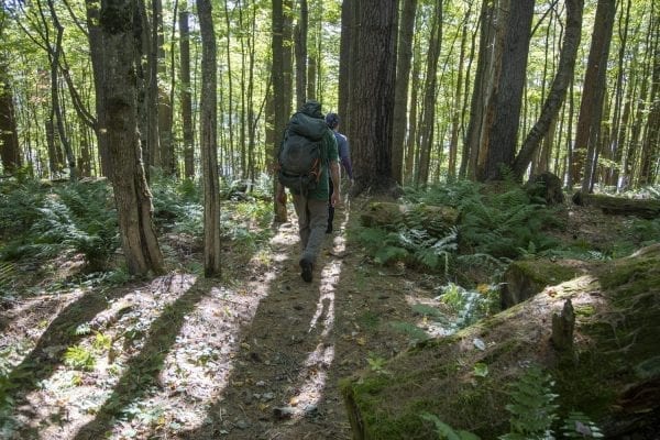Explorer Publisher Tracy Ormsbee and Sam Eddy walk through the woods near Wolf Pond in the Five Ponds Wilderness in September. Photo by Mike Lynch