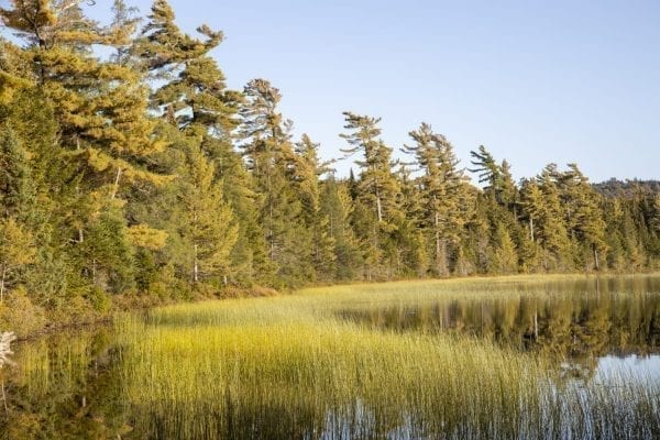 Sand Lake in the Five Ponds Wilderness in September 2019. Photo by Mike Lynch