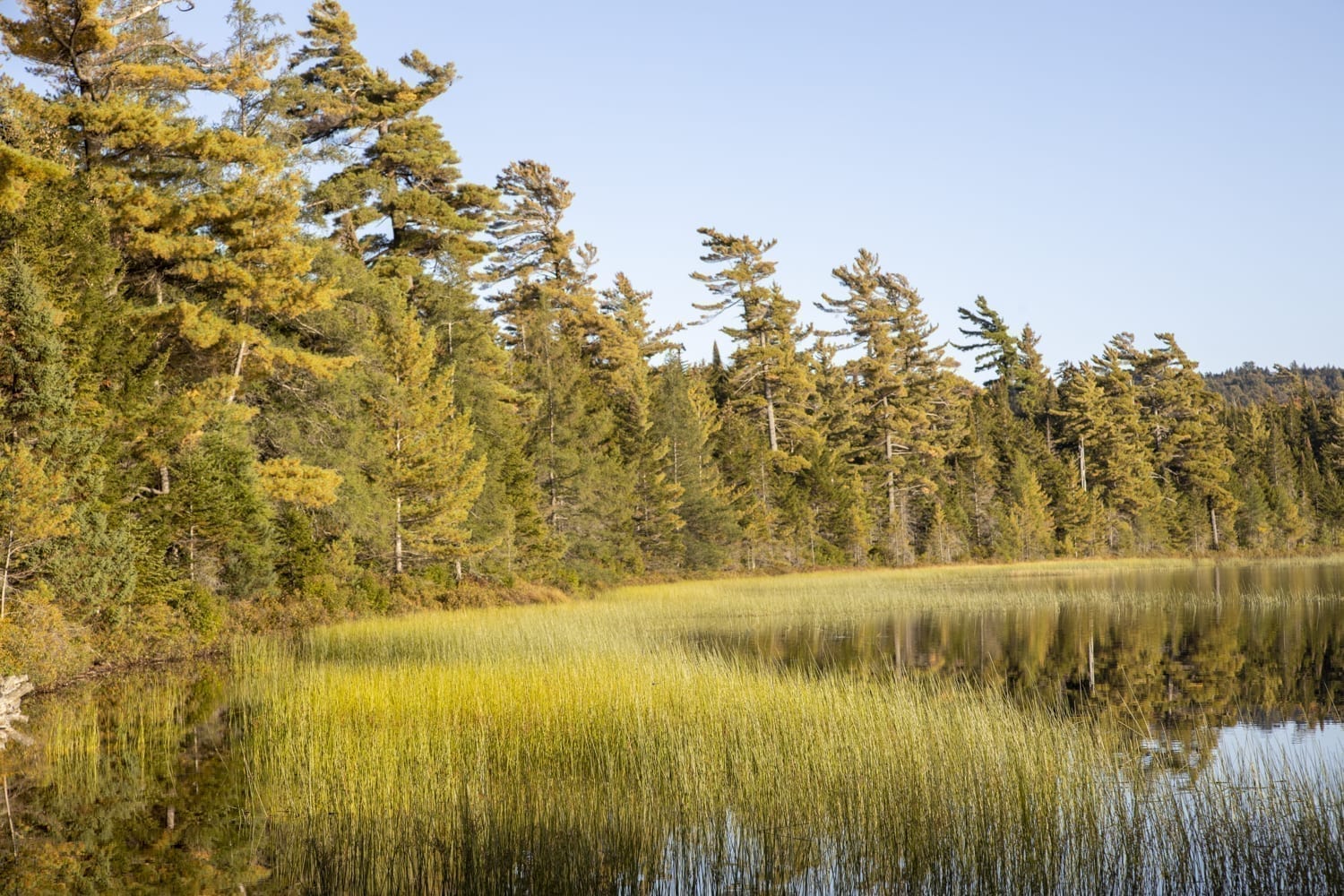 An Adventure in the Five Ponds Wilderness