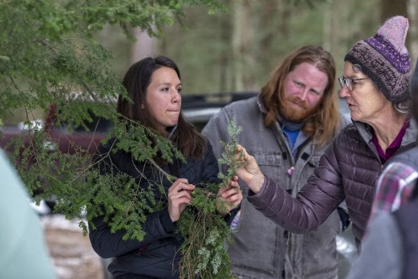 Julie Fogden, an invasive species management steward with The Nature Conservancy, talks about forest pests at the Noblewood Park in Willsboro. Photo by Mike Lynch