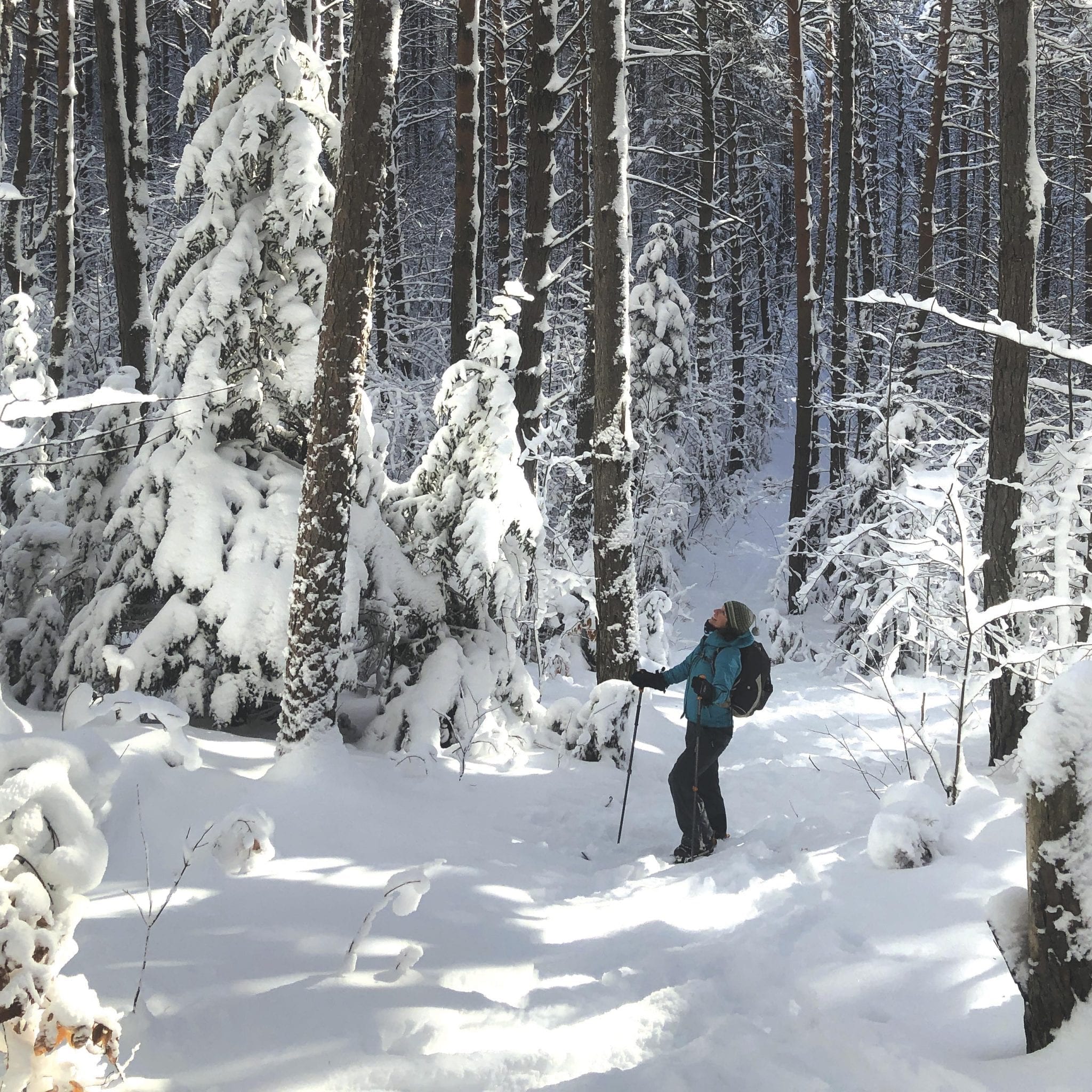 The Kettle Trail is located north of Paul Smiths in the northern Adirondacks.
