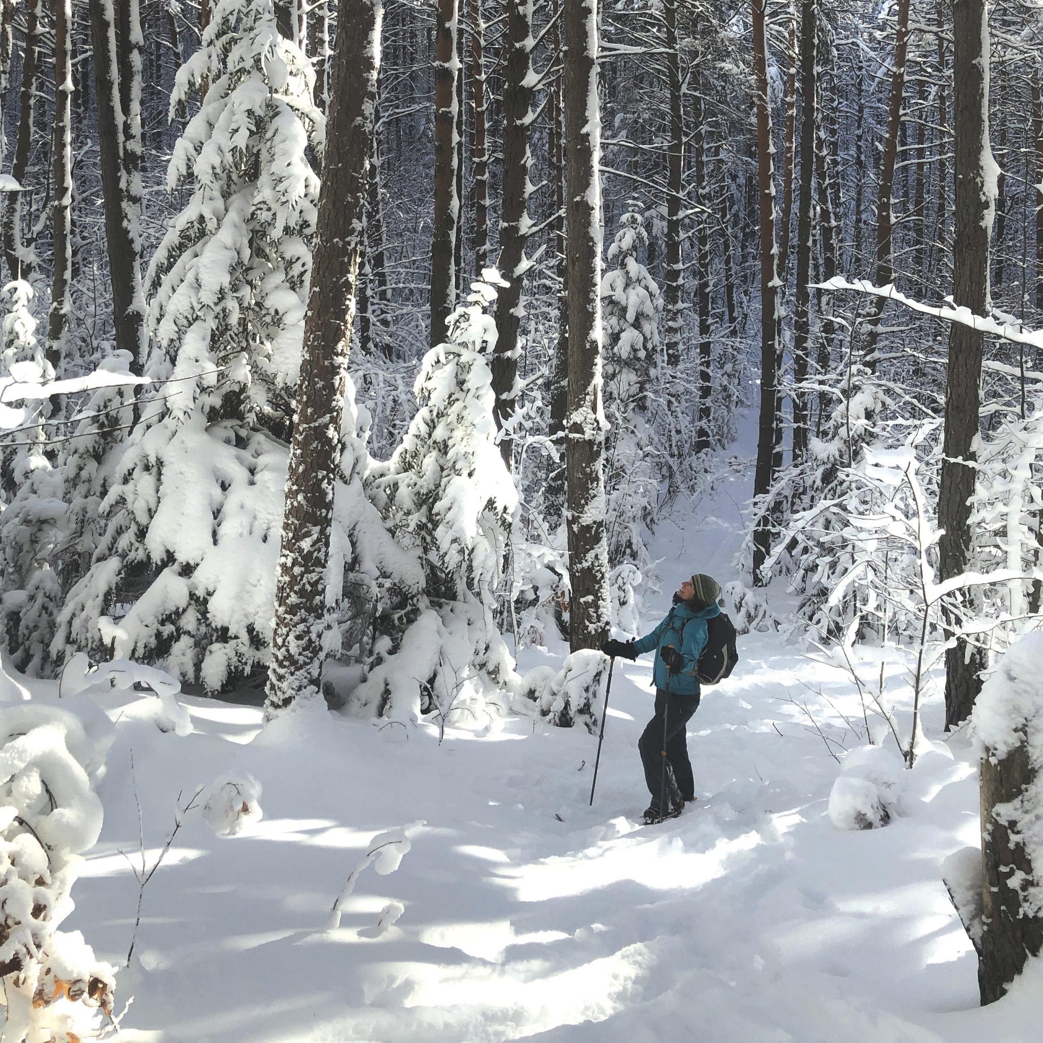 The Kettle Trail is located north of Paul Smiths in the northern Adirondacks. 