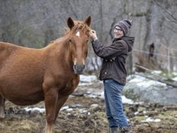 woman standing with a horse
