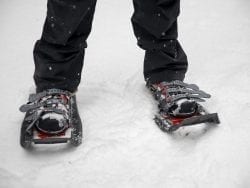 snowshoes