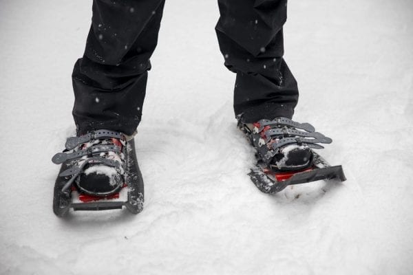 snowshoes, winter gear