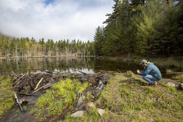 Explorer editor Brandon Loomis takes a photo of a beaver pond in Wilmington in May. Photo by Mike Lynch