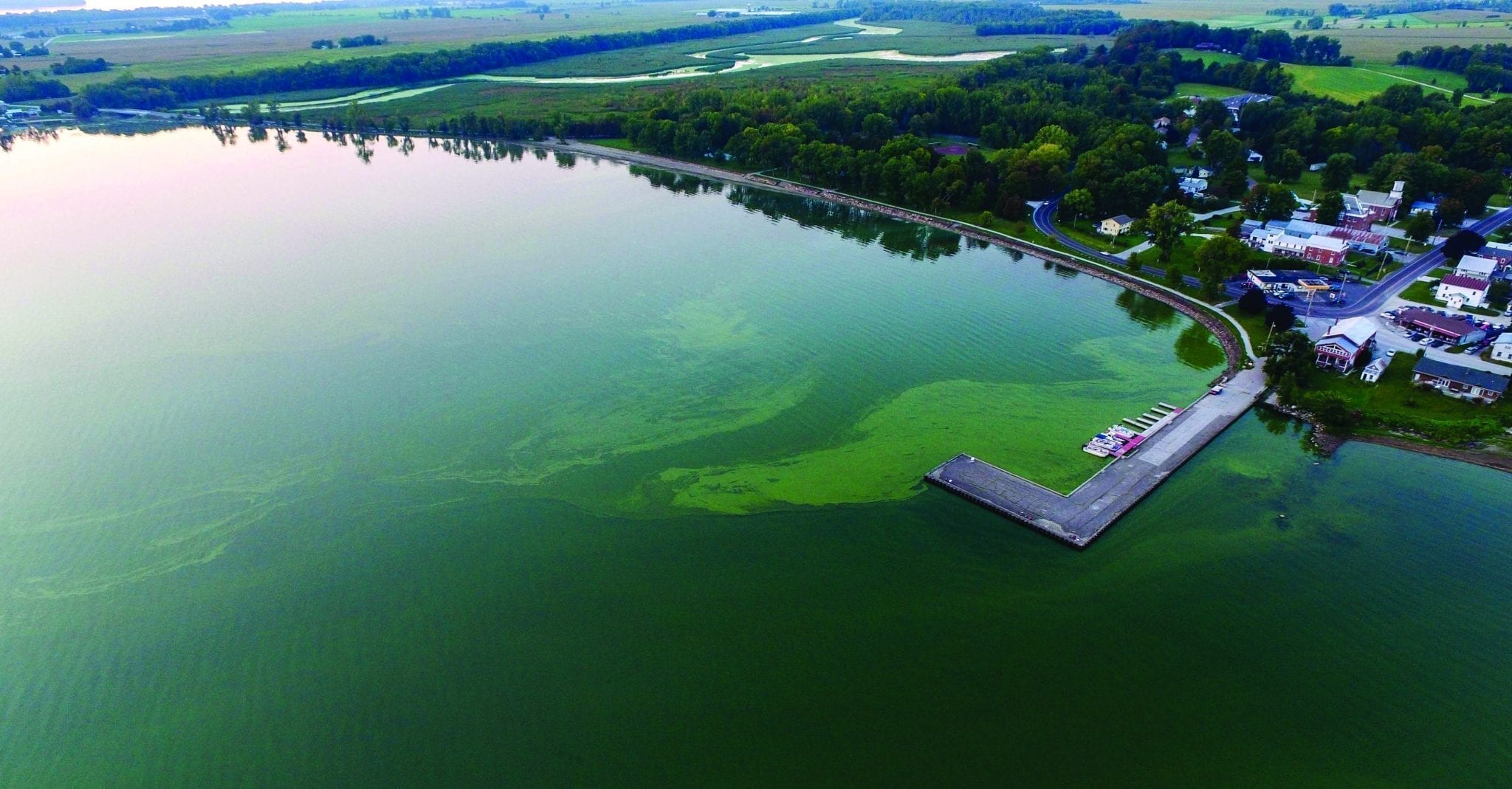 A lake in crisis