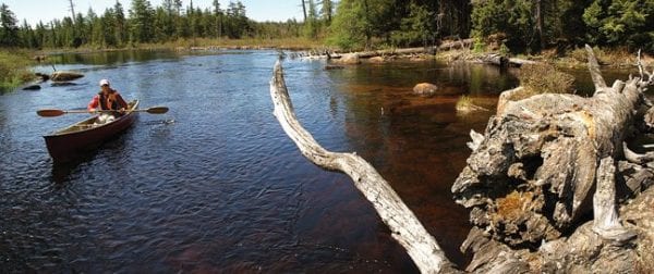Phil Brown paddles on a part of the Beaver River in the Forest Preserve, shortly before entering posted waters.