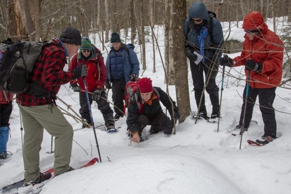 Elizabeth Lee checks out some animal tracks during a guided trip near Poke-O-Moonshine Mountain in the eastern Adirondacks in January 2019. Photo by Mike Lynch