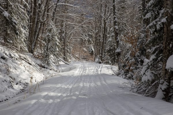 Conditions were good on the Jackrabbit Trail near Whiteface Inn Road in Lake Placid on January 7, 2020. Photo by Mike Lynch